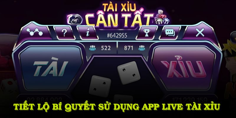 Tiết lộ bí quyết sử dụng app live tài xỉu tối ưu từ nền tảng 23Win